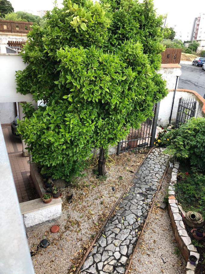 צ'יוויטווקיה B&B San Liborio מראה חיצוני תמונה